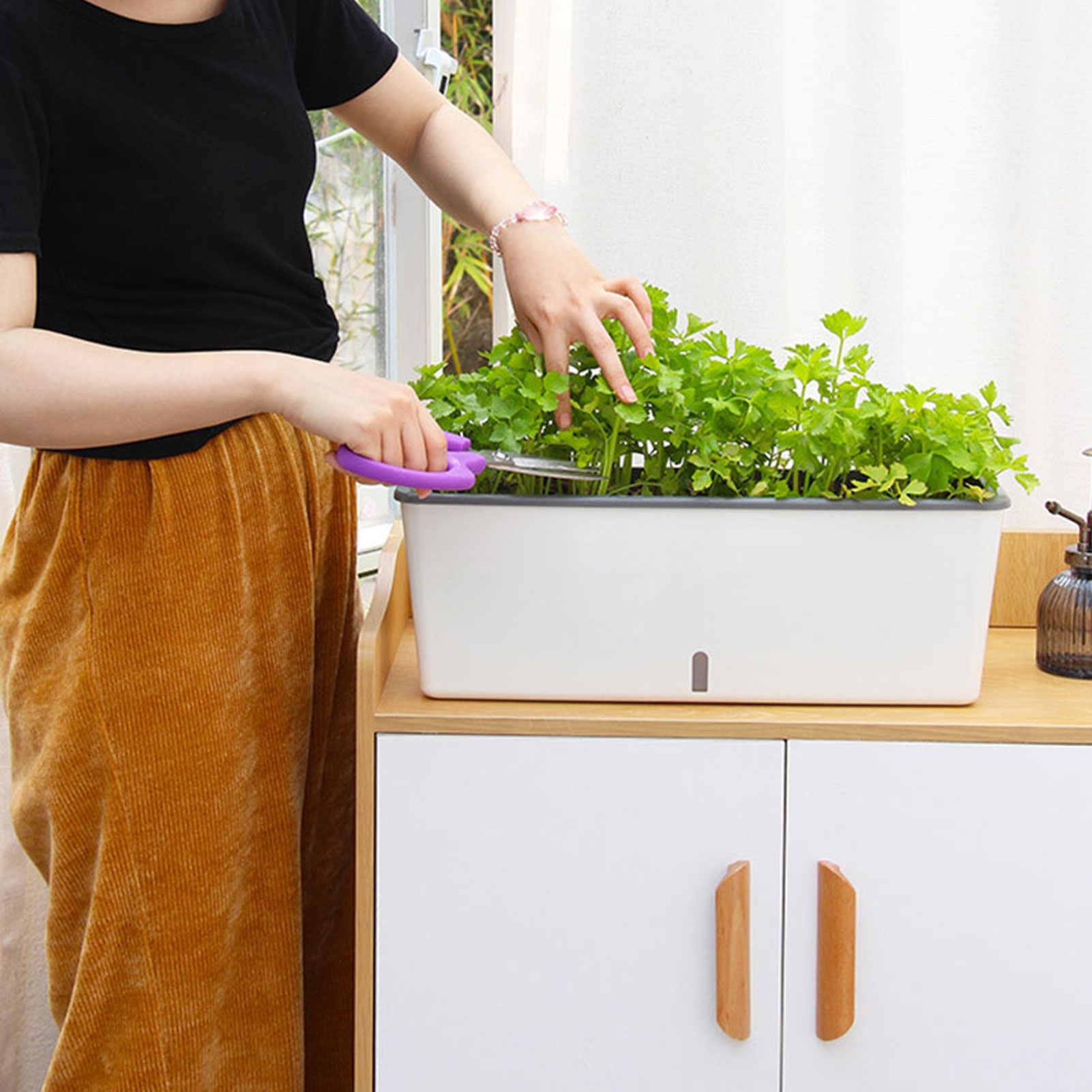 Macetas de autorriego con prác - Self Watering Insert reseña y precio